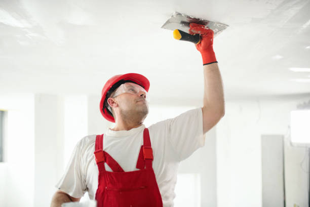 Best Wallpaper Removal and Painting  in Bandon, OR